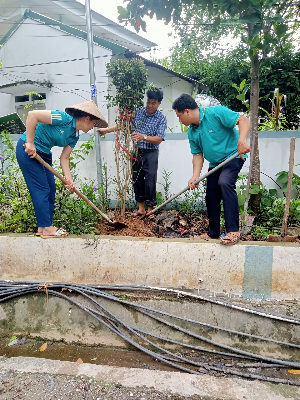 Công đoàn cơ sở xã Tân Nam tổ chức trồng và chăm sóc con đường hoa Tường Vy tại trung tâm xã